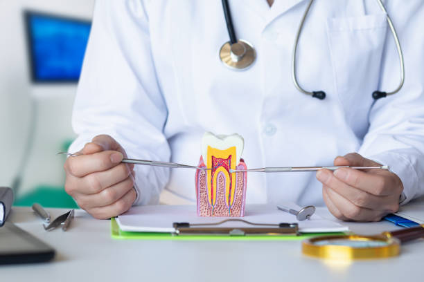 Best Emergency Dental Care for Broken or Chipped Teeth in Sunnyvale, CA